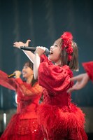 日向ハル（フィロソフィーのダンス）