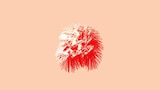 LISACHRIS & Maika Loubté「Hana炎 feat. 鎮座DOPENESS」MVより。