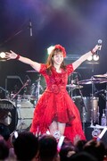 人気画像9位は「藤本美貴20周年ライブに娘。OG続々！庄司智春もパンツ一丁で『ミキティー！』」より、藤本美貴。