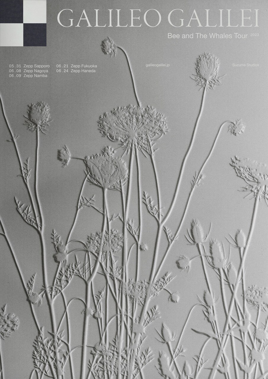 ポップス+ロック(邦楽) Bee and The Whales Galileo Galilei Galileo Galilei、7年ぶりのFULL ALBUM『Bee and The Whales