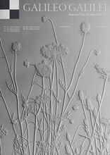 「Galileo Galilei “Bee and The Whales” Tour 2023」ビジュアル