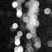 Nozomi Nobody「Every Blue」配信ジャケット