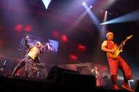 サンプラザ中野くん・パッパラー河合