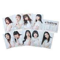 私立恵比寿中学「もっとエビ展 ～9 colors nude～」クリアファイル