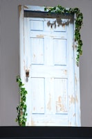 映画「すずめの戸締まり」完成報告会見のステージ中央にあった扉。