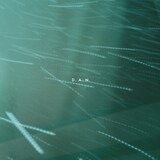 D.A.N.「Take Your Time [Haruomi Hosono Remix]」配信ジャケット