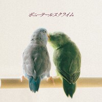 ポニーテールスクライム「シンガーソングライター」配信ジャケット