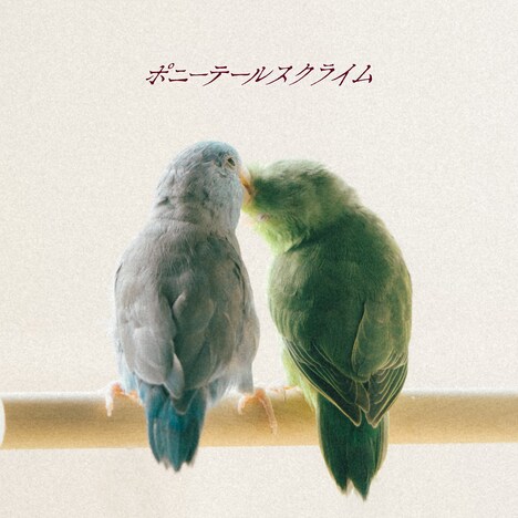 ポニーテールスクライム「シンガーソングライター」配信ジャケット