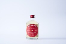 藤井フミヤの音楽を聴かせた「ANALOG LOVE」。