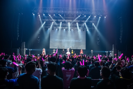 星名美怜生誕ソロライブ「PINK DOLL HOUSE:5」の様子。