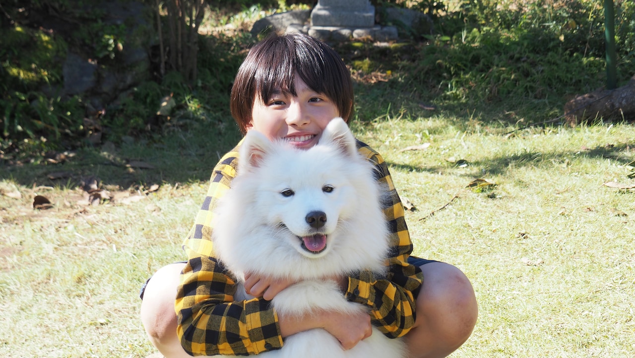 岸優太 ブルーレイ お兄ちゃんガチャ すきすきワンワン（岸優太