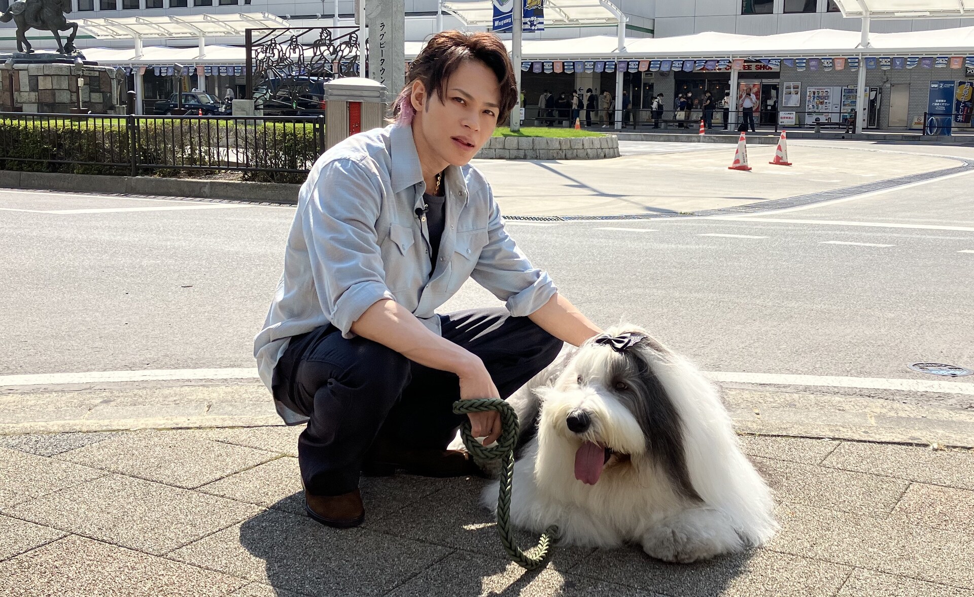 KAT-TUN上田竜也が犬のペロちゃんと散歩 - 音楽ナタリー