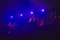 indigo la End「藍」の様子。（撮影：鳥居洋介 / 横山マサト）