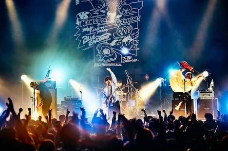 ハンブレッダーズ「秋のグーパンまつりZ」よりBLUE ENCOUNTのライブの様子。（撮影：浜野カズシ）