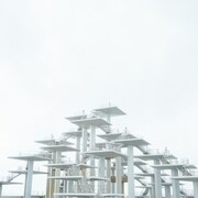 ねおち「星重力街人々価値運命花信号」配信ジャケット