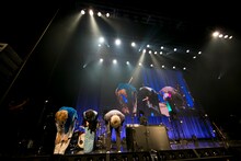 ツユ（撮影：堀卓朗［ELENORE］）