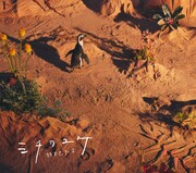 緑黄色社会「ミチヲユケ」初回限定盤