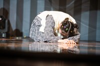 倒れ込む風見和香。