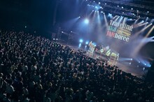 Saucy Dogのライブの様子。（撮影：白石達也）