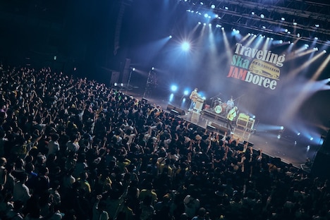 Saucy Dogのライブの様子。（撮影：白石達也）