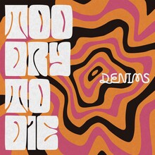 DENIMS「Too dry to die」ジャケット