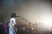 リーガルリリー「cell,core 2022」東京・Zepp Haneda（TOKYO）公演の様子。（撮影：池野詩織）