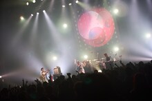 リーガルリリー「cell,core 2022」東京・Zepp Haneda（TOKYO）公演の様子。（撮影：池野詩織）