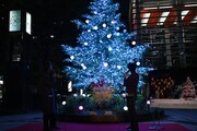 ツリー点灯の瞬間。