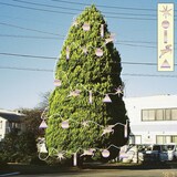 柴田聡子「サイレント・ホーリー・マッドネス・オールナイト（DUB MASTER X Remix）」配信ジャケット