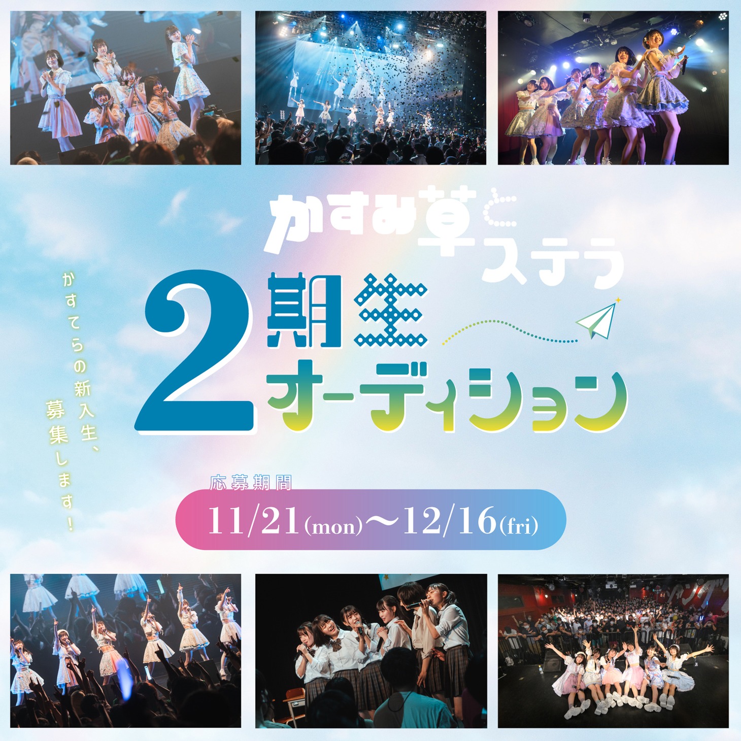 かすみ草とステラ「2期生オーディション」告知画像