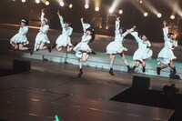 真っ白なキャンバス（撮影：真島洸）