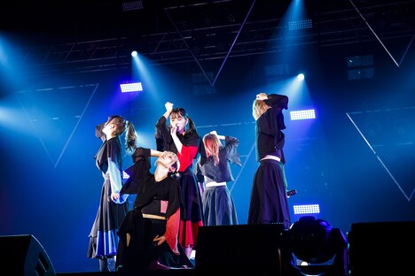 豆柴の大群（Photo by sotobayashi kenta）