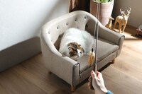 藤原樹がプロデュースした「王の戯れ」。