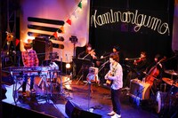 「カミナリグモ15th Anniversary Live "Another Trip to Another Somewhere"」の様子。（Photo by nakamura shiori）