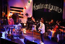 「カミナリグモ15th Anniversary Live "Another Trip to Another Somewhere"」の様子。（Photo by nakamura shiori）