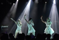 「SANDAL TELEPHONE LIVE2022 "REFLEX -BAND SET- @BLAZE"」の様子。