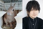 近藤孝行×ネザーランドドワーフの飴ちゃん