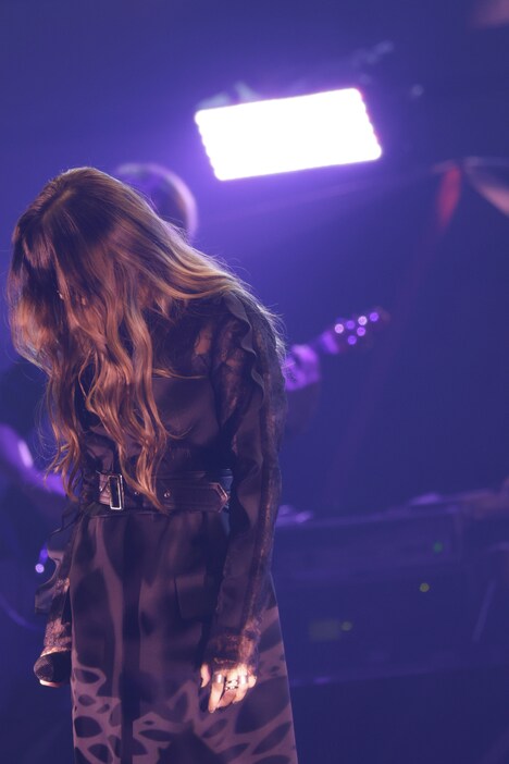 Aimer（撮影：平野タカシ）