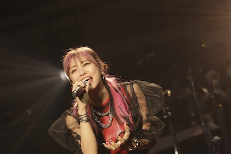 LiSA（撮影：平野タカシ）