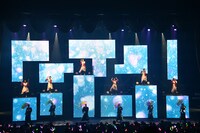 ばってん少女隊「御祭sawagi～踊れ心騒げ～」の様子。