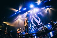 アルルカン（撮影：川島彩水）