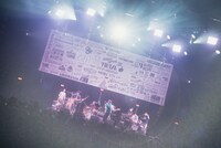 cero（撮影：廣田達也）