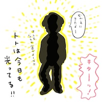 「トトは今日も光ってる！」