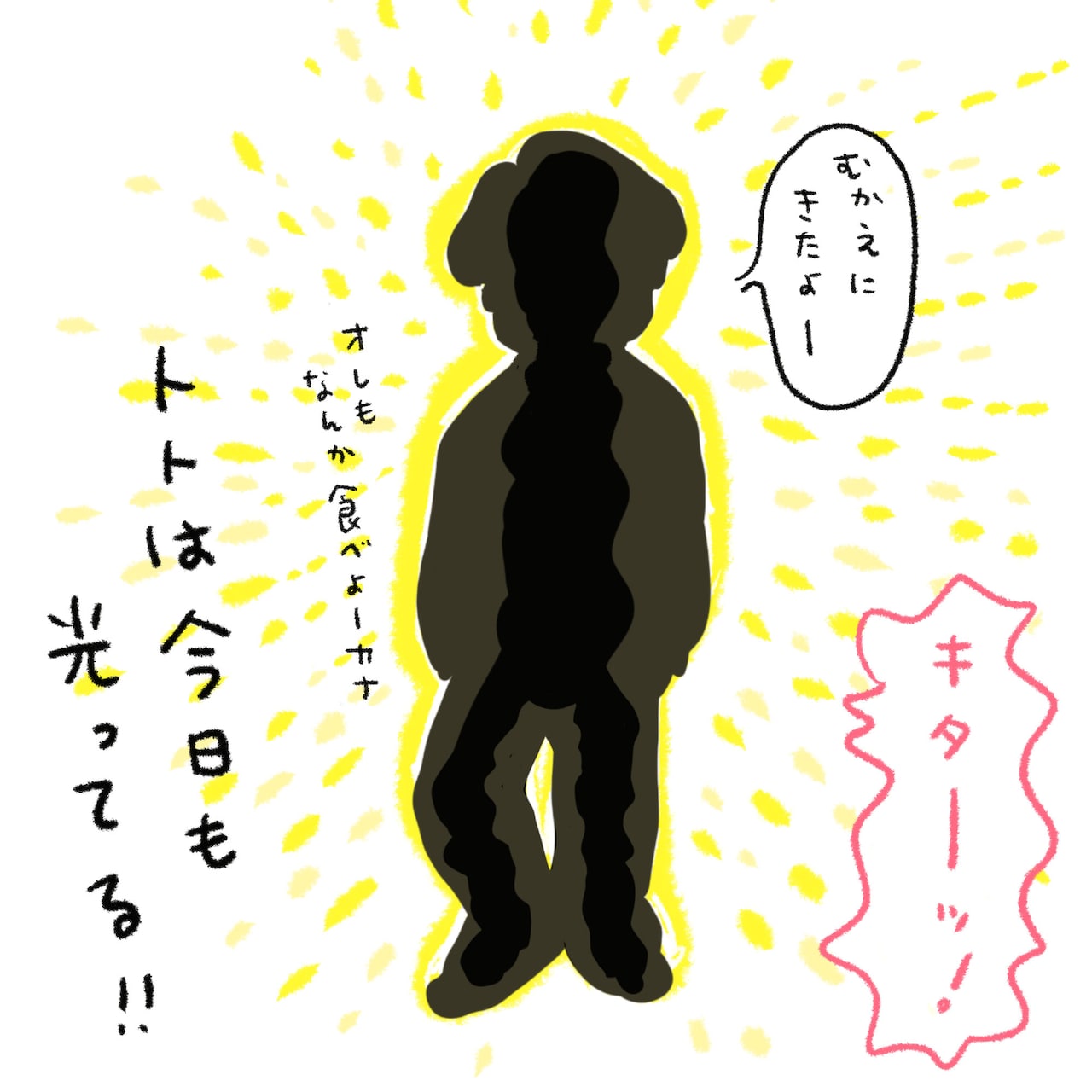 「トトは今日も光ってる!」