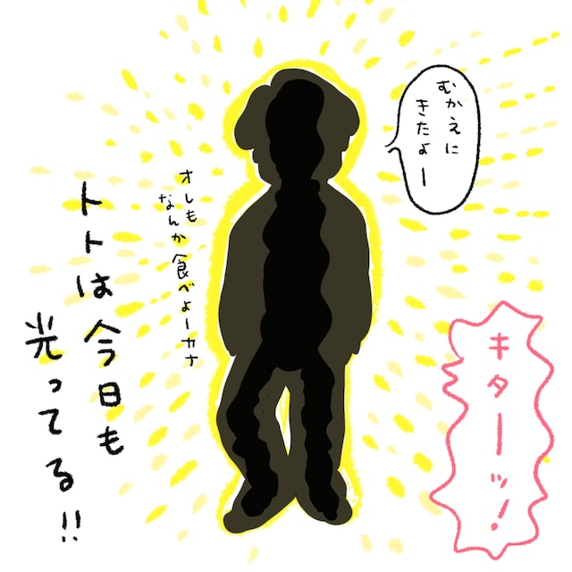 「トトは今日も光ってる！」