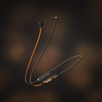 「Beats Flex『WACKO MARIA Leopard Limited Edition』」