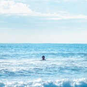 YONA YONA WEEKENDERS「SUI SUI」ジャケット