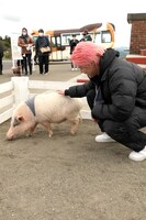 人気画像4位は「BE:FIRSTの1泊2日グランピングに密着、バーベキューやパジャマパーティで盛り上がる」より、「BE:FIRST's HOLIDAY」場面写真。