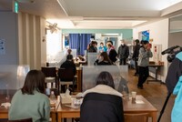 「豆柴の大群なりの合宿」2日目の様子。