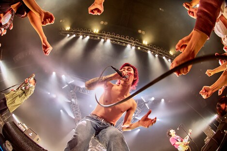 橋本学（Vo / ハルカミライ）（撮影：白石達也）